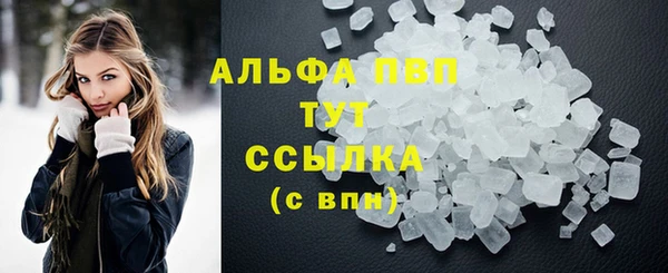индика Армянск